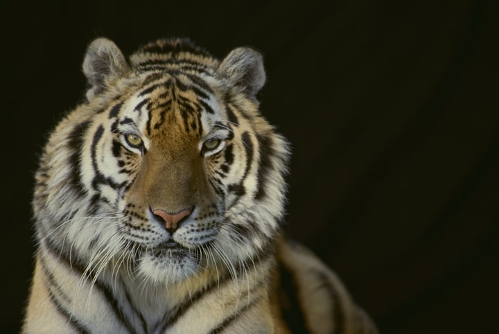 パチンコ・スロットの重量とサイズ