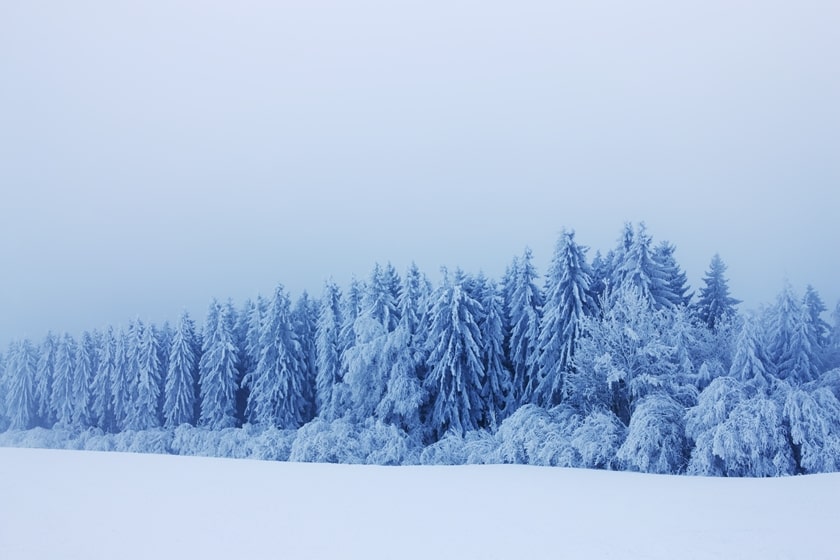 ホワイト化したパチンコ業界